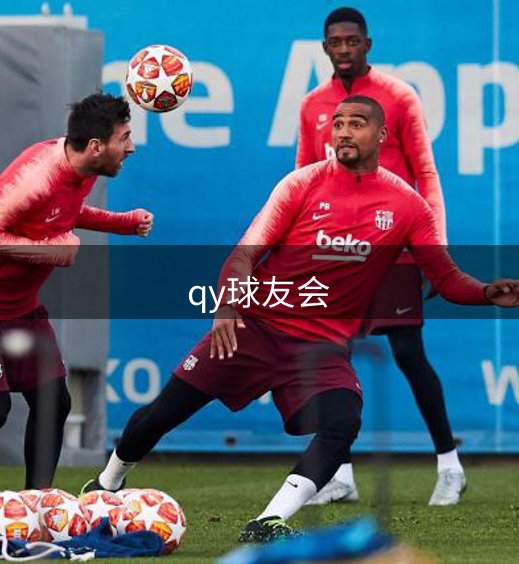 公司体系